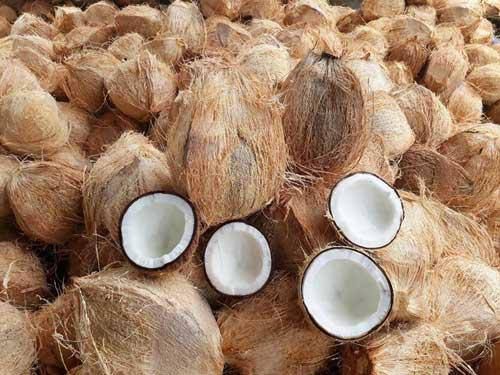 WhatsApp Image 2025-10-30 at 15.28.55_fc128b3b