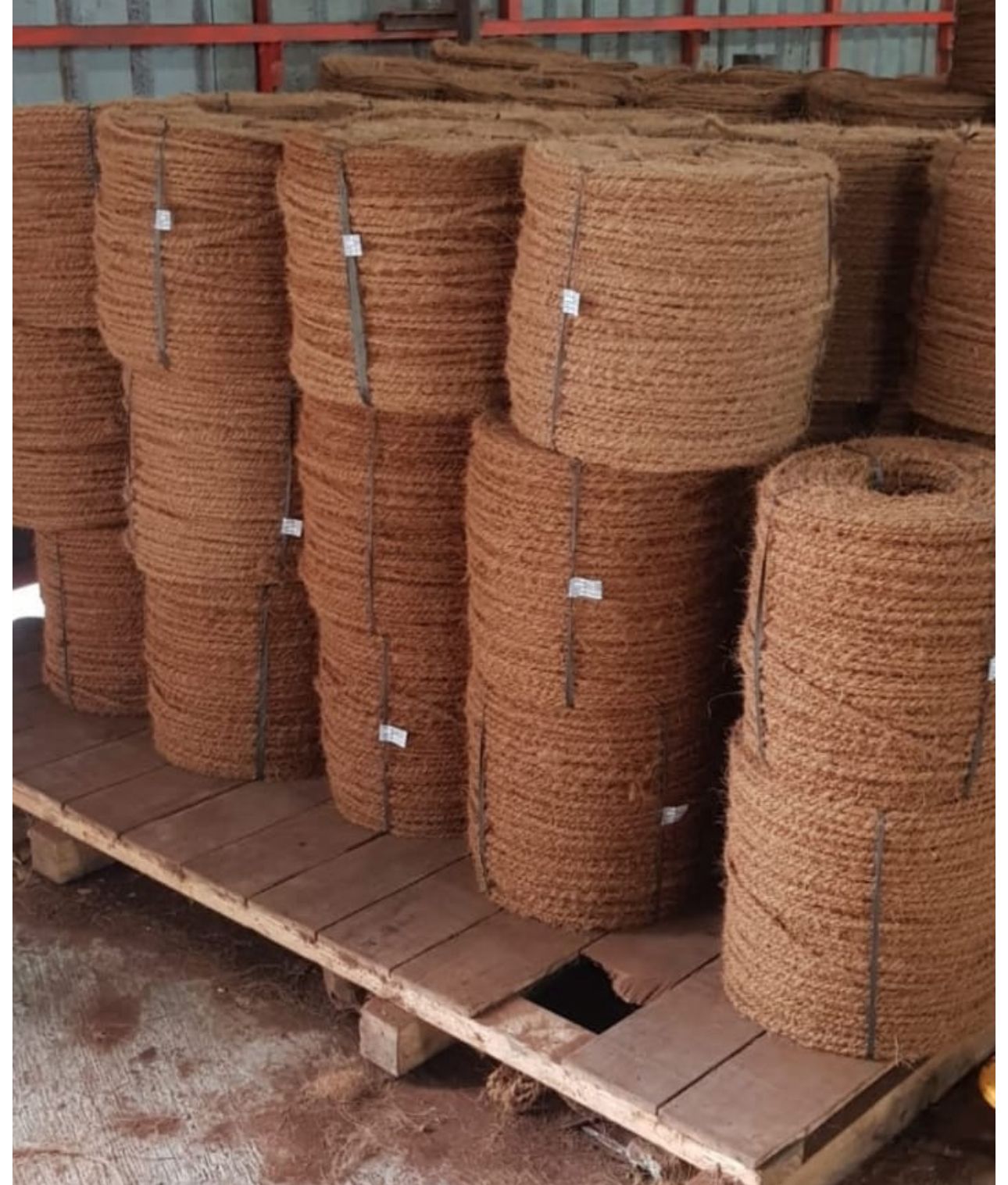 WhatsApp Image 2025-10-30 at 15.28.57_82c1da6b