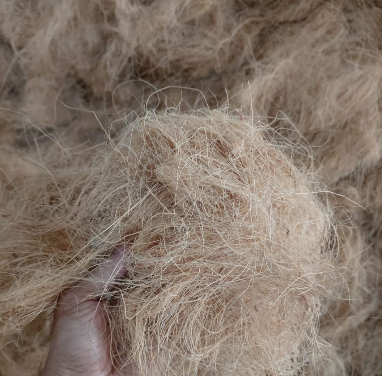 WhatsApp Image 2025-10-30 at 15.28.58_0ebbf223