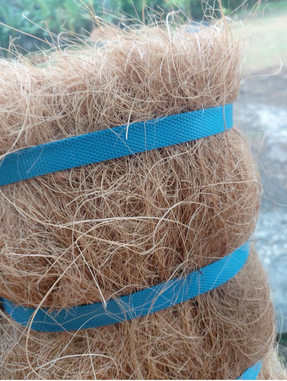 WhatsApp Image 2025-10-30 at 15.28.58_b36478bf